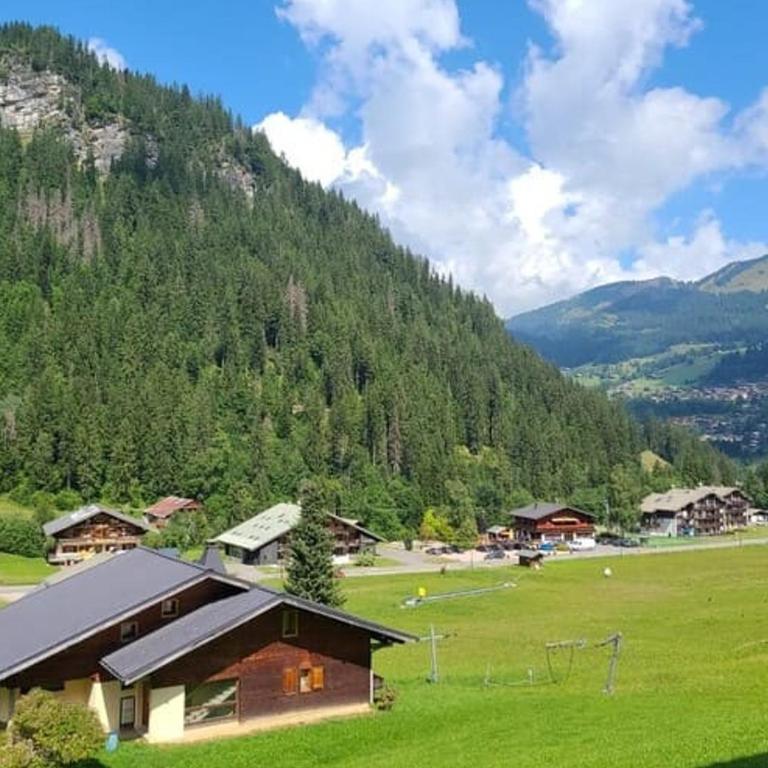 Appartement 3 pièces, 6 personnes à Châtel - FR-1-676-230 - Appartement - 12