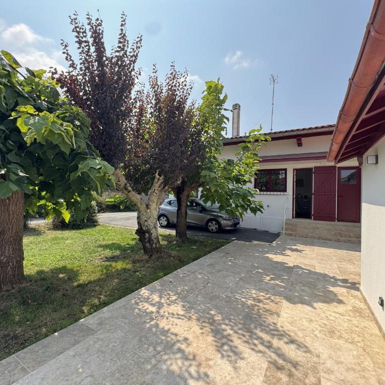 Maison Basco-Landaise proche port, 8 couchages, moderne et rénovée - FR-1-474-283 - Villa - 11