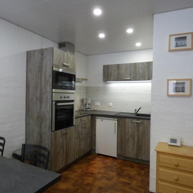 Studio rénové 28m² au centre, 4 pers, proche pistes - FR-1-458-248 - Studio - 3