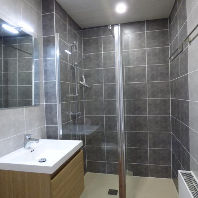 Studio rénové 28m² au centre, 4 pers, proche pistes - FR-1-458-248 - Studio - 6