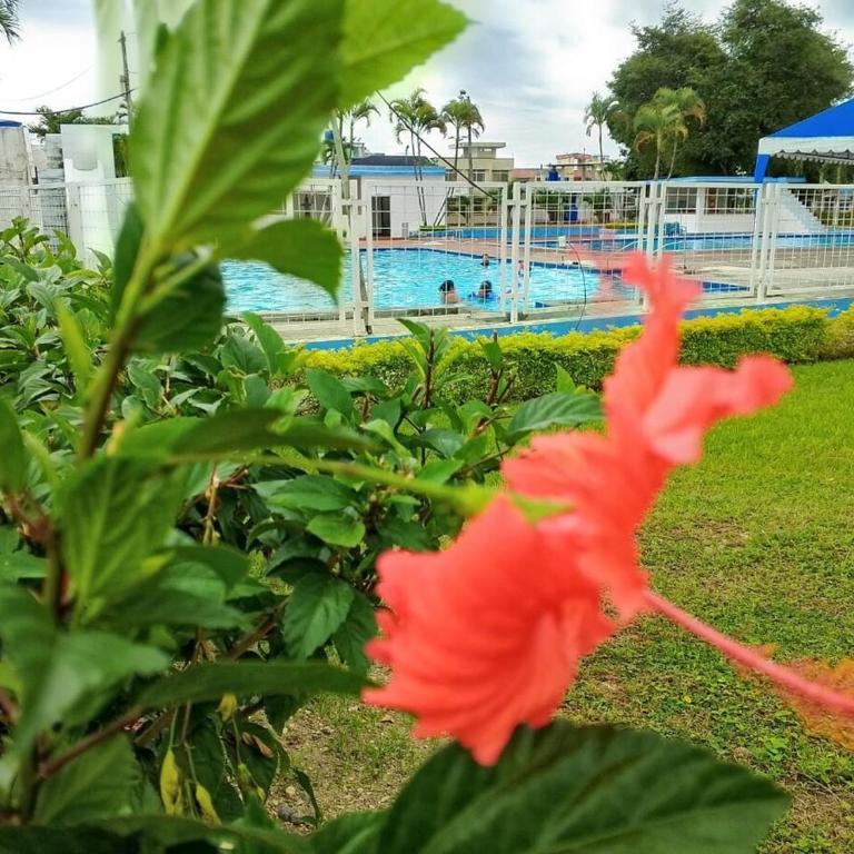 A beautiful apartment on Tonsupa Beach - Apartamento - 10