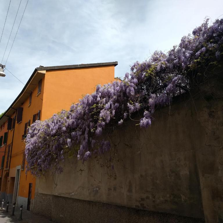 Malgrado House Bologna - Villa Nigrisoli - Sant'Orsola - Appartamento - 9