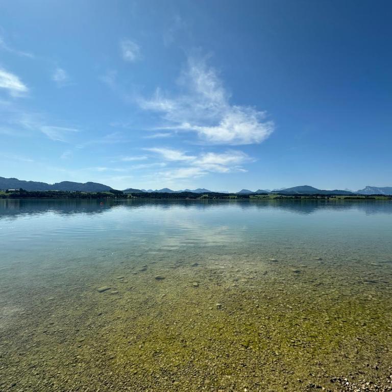 Tiny Haus am Wallersee - Haus mit 2 Schlafzimmern - 17