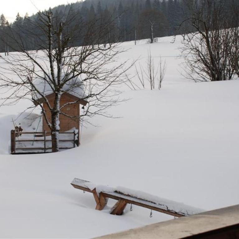 Landhaus Gertrude Eder - Appartamento con 3 Camere da Letto - 12