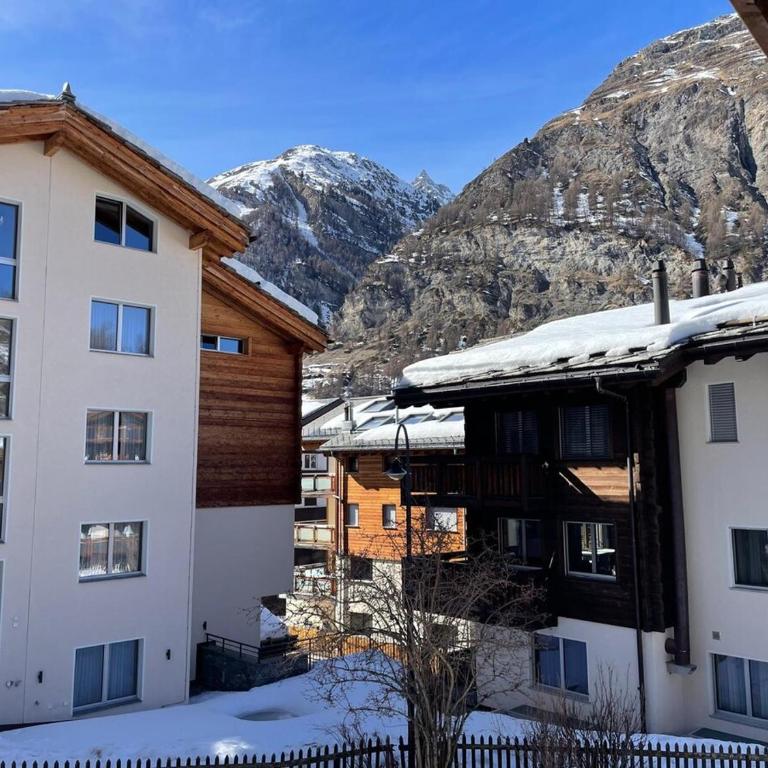 Apartment Forest- finest selections by Inspiringplaces Zermatt - Apartamento - 2