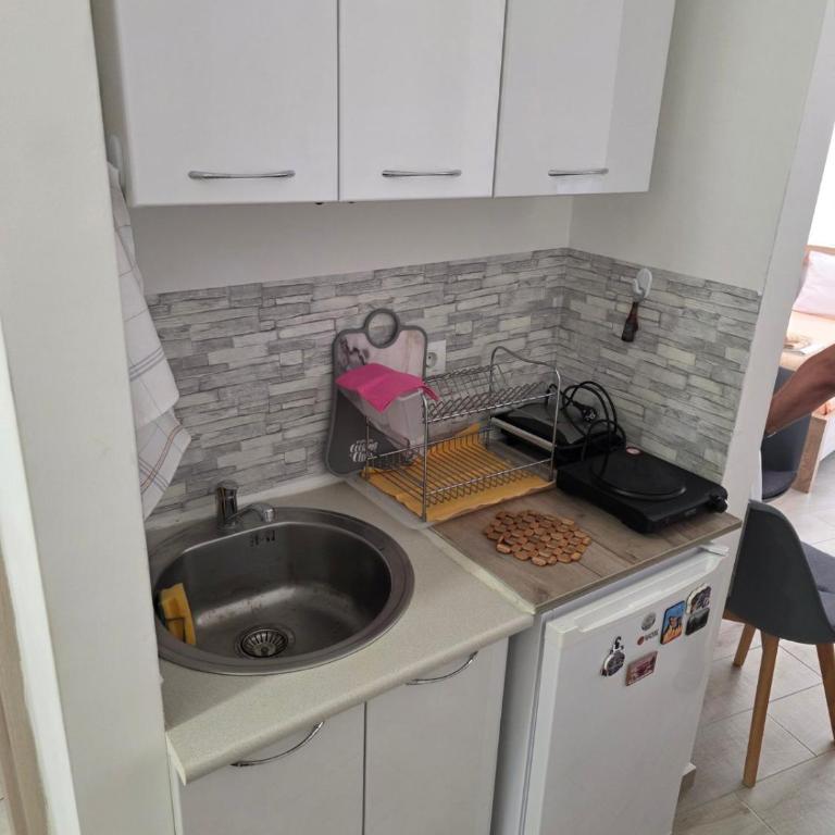 Apartman Tijana - Apartman sa 1 Spavaćom Sobom - 3