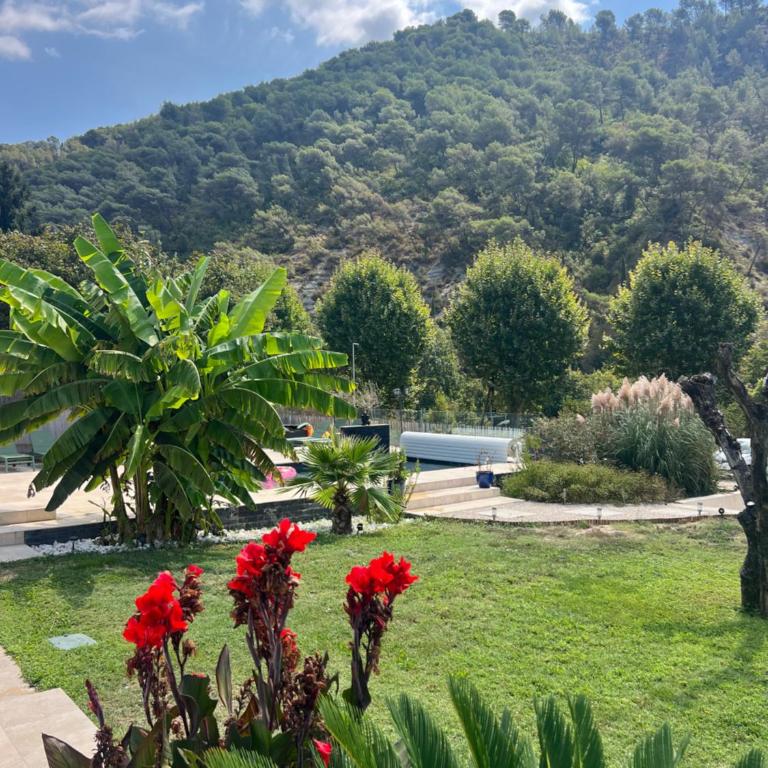 Villa Casita - Villa - 24
