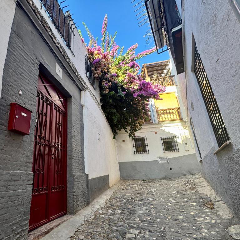 Casa Albaicin 1 - One-Bedroom Apartment - 7