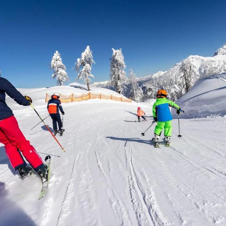 Luxury Chalet Mauthner Alm - Haus mit 4 Schlafzimmern - 20
