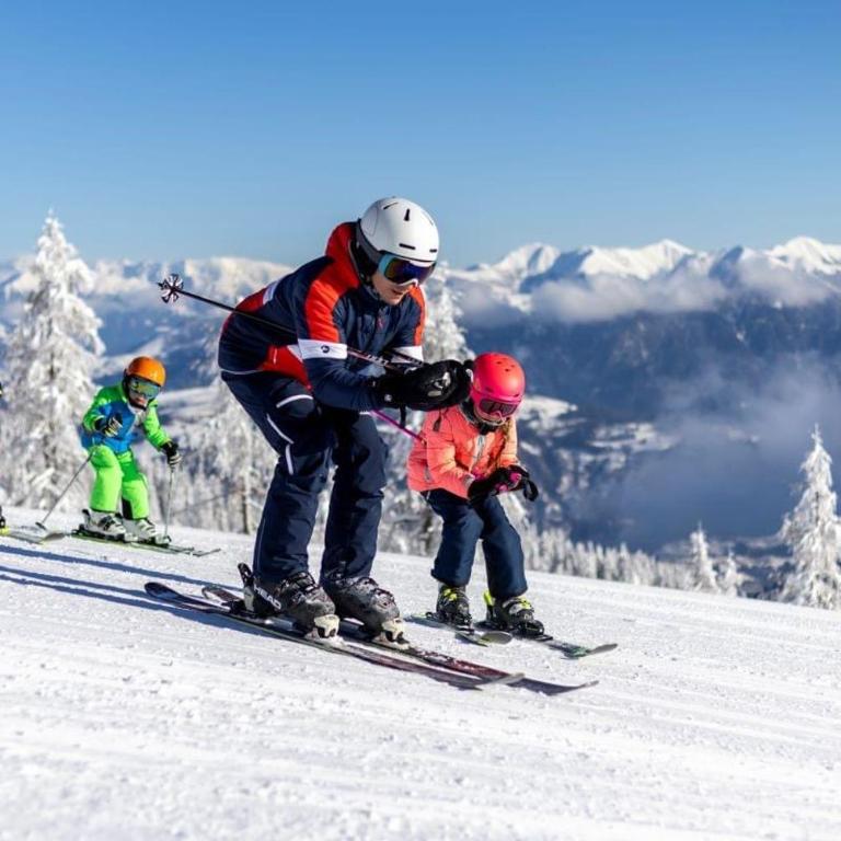Luxury Chalet Mauthner Alm - Haus mit 4 Schlafzimmern - 16