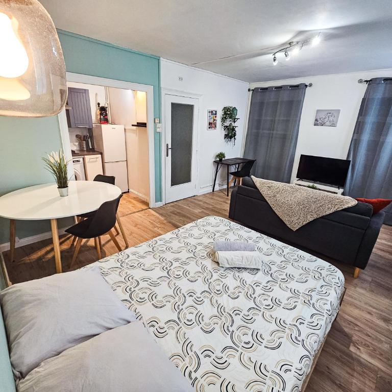 Beau T1 2 personnes BERGSON - One-Bedroom Apartment - 20