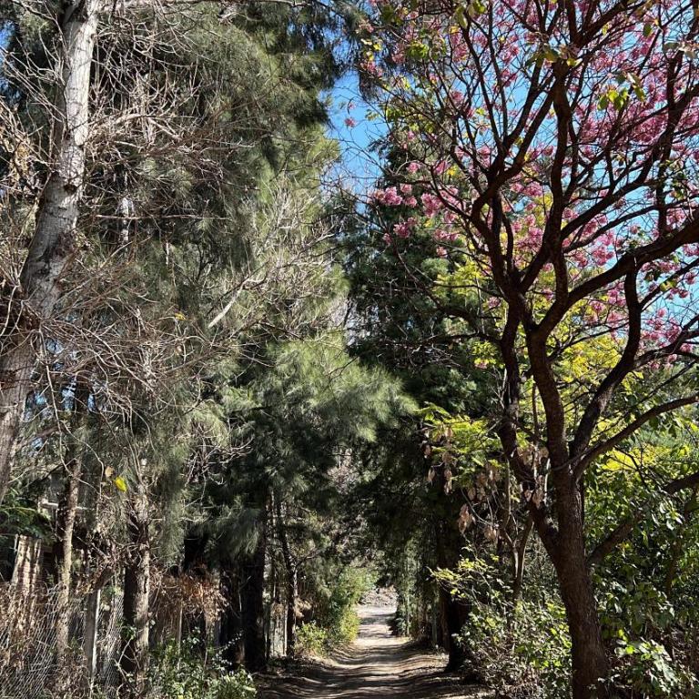 Cabañas Finca La Tregua - Apartamento de 2 dormitorios - 15