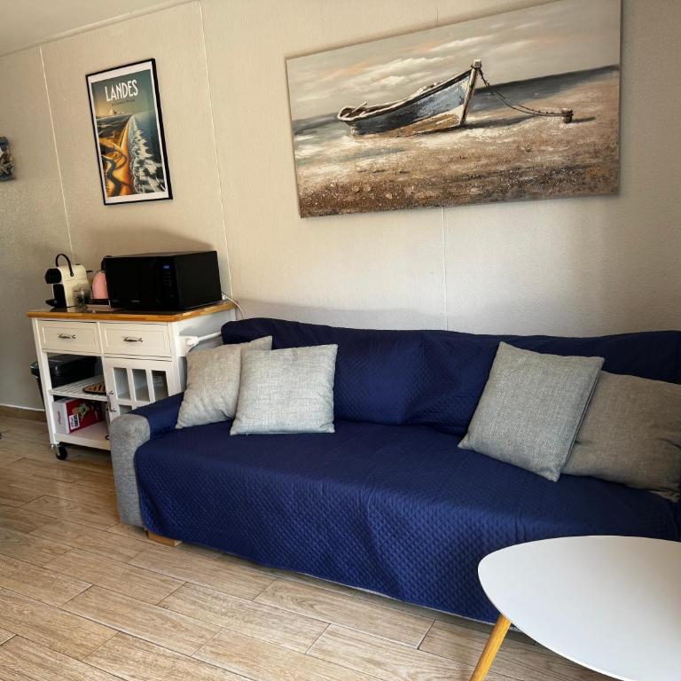 Maisonnette au calme, T3, 6 pers résidence avec piscine et wifi privée proche lac et océan - Maison 2 Chambres - 3