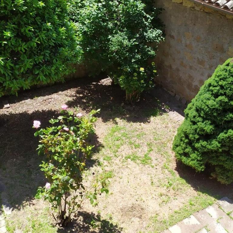 Tourist rental 35574 Orvieto - Appartamento con 1 Camera da Letto - 2