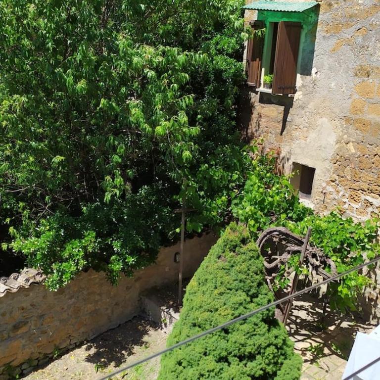 Tourist rental 35574 Orvieto - Appartamento con 1 Camera da Letto - 14