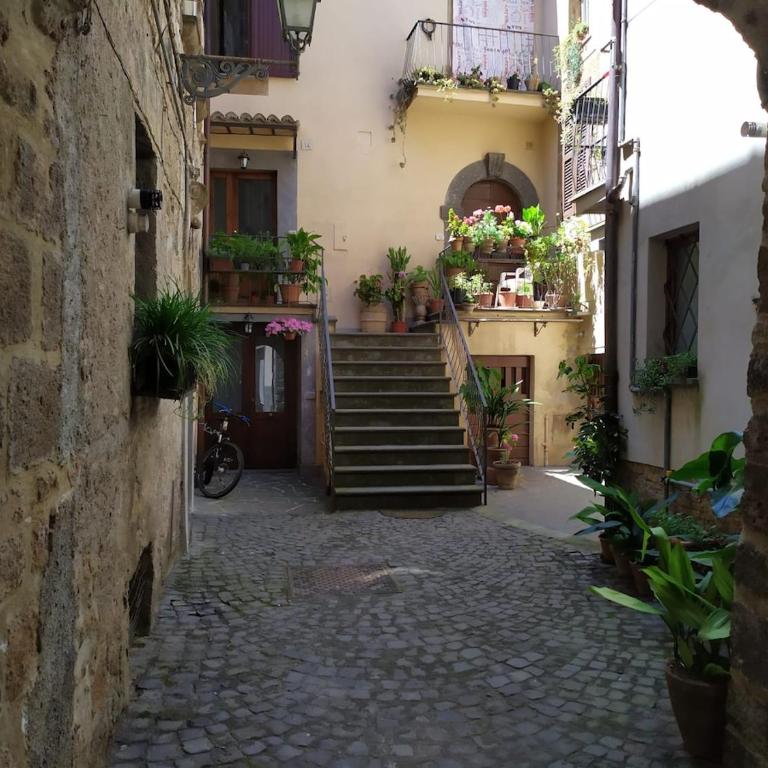 Tourist rental 35574 Orvieto - Appartamento con 1 Camera da Letto - 29