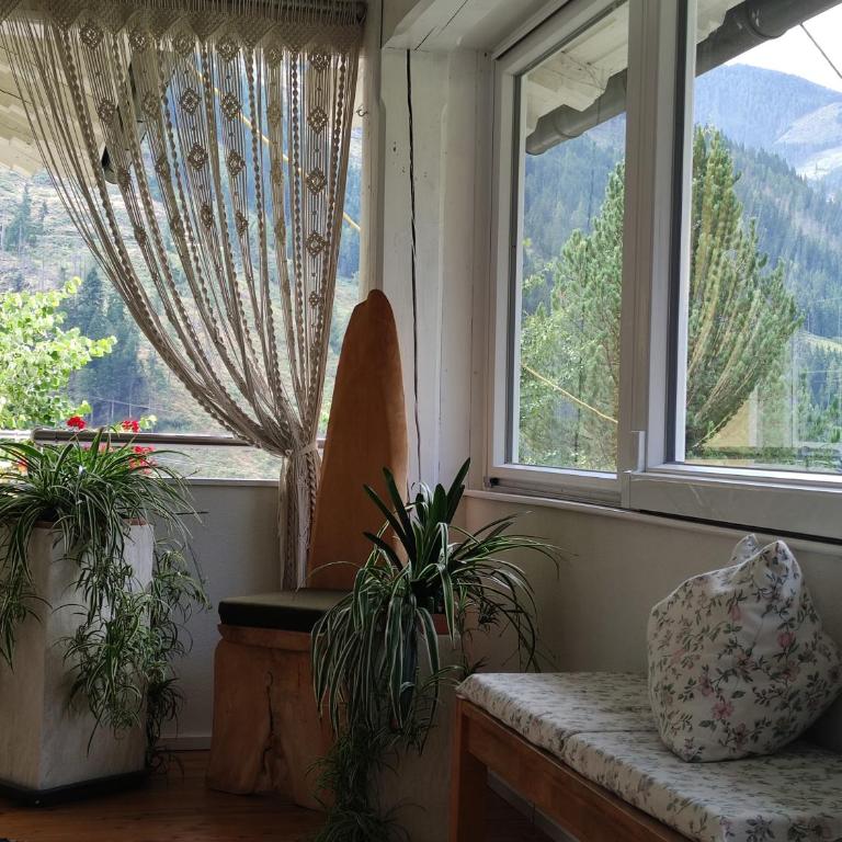 Ferienwohnung Kerschbaumer - Apartment mit 2 Schlafzimmern mit Balkon und Terrasse - 36
