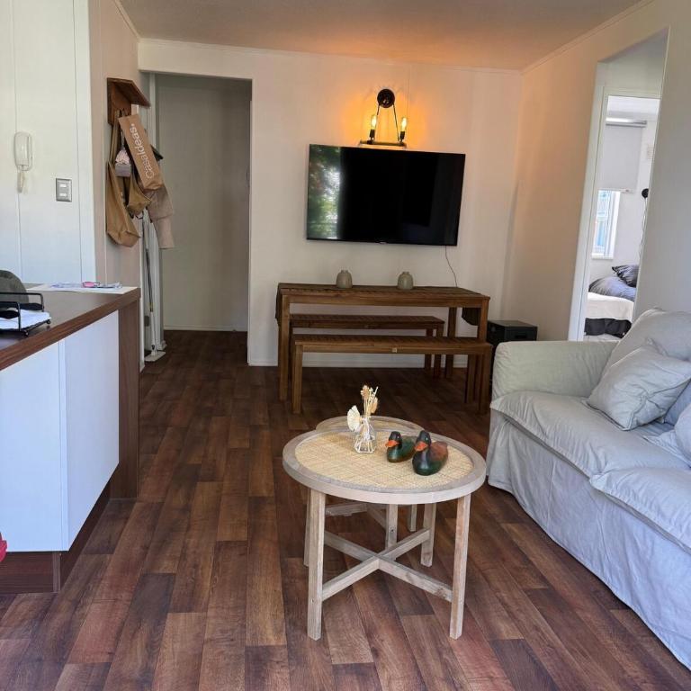 Departamento familiar en Pucón - Two-Bedroom Apartment - 9