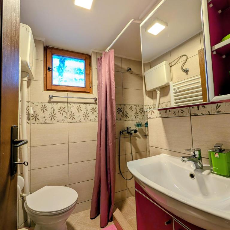 Apartments Šćepanović - Dupleks Apartman s 3 Spavaće Sobe i Terasom - 7