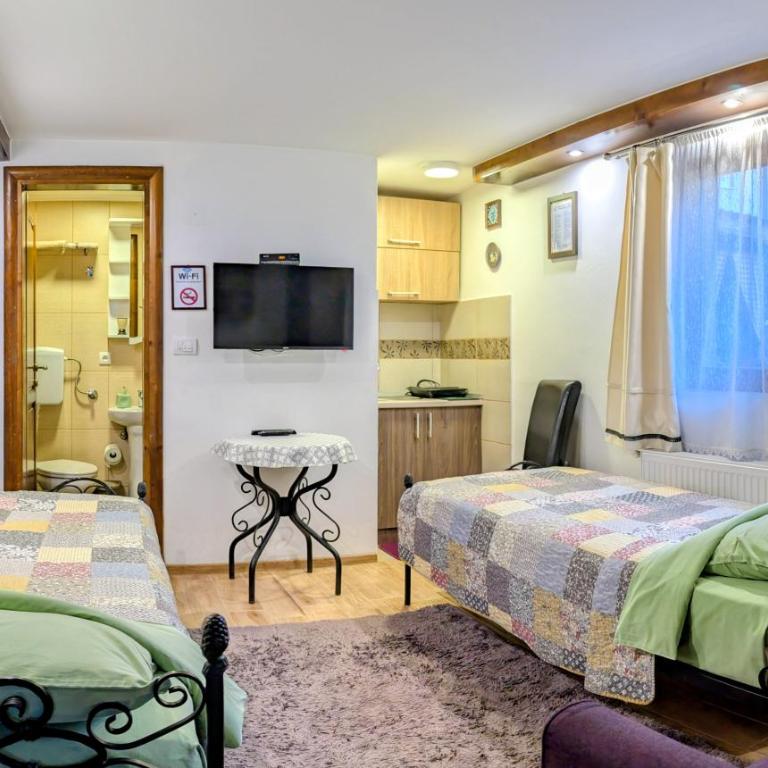 Apartments Šćepanović - Studio Apartman - 8