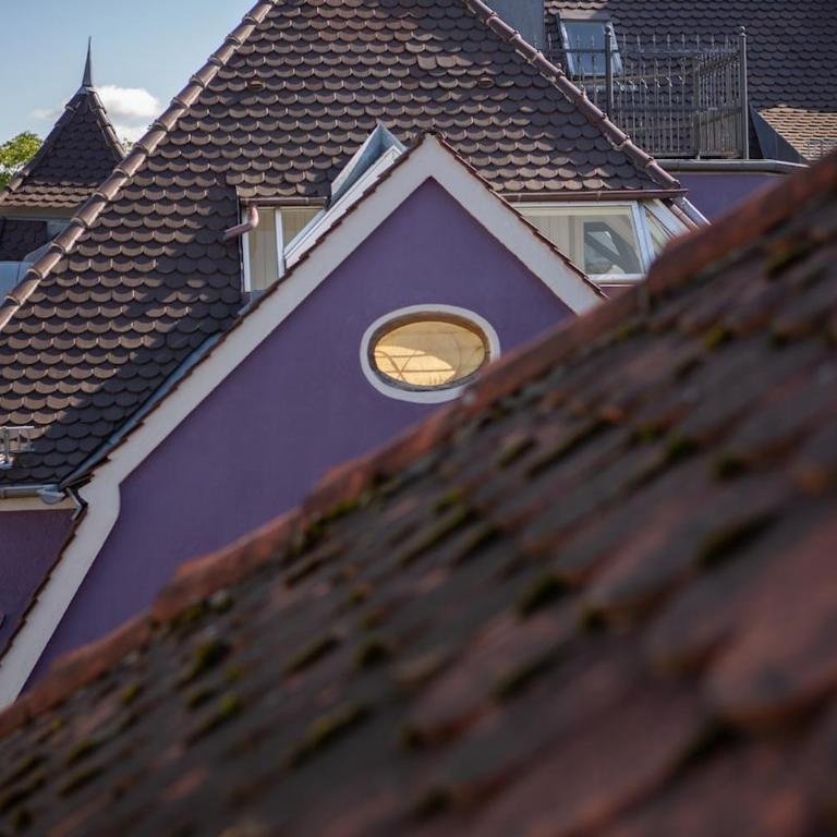 Rooftop Arts&Crafts Apartment, zentral und ruhig, 3 Dachterrassen - One-Bedroom Apartment with Balcony and City View - 40