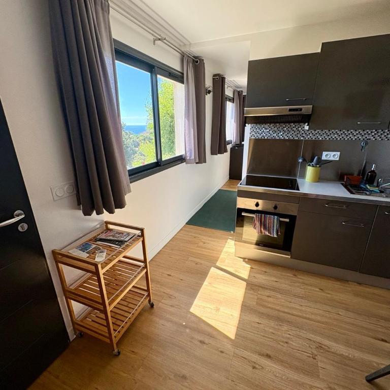 Magnifique vue sur la mer ... - Appartement 1 Chambre - 29