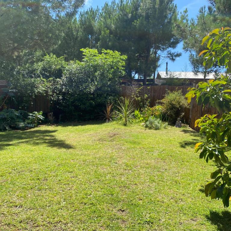 Casa lindos momentos - Three-Bedroom House - 4
