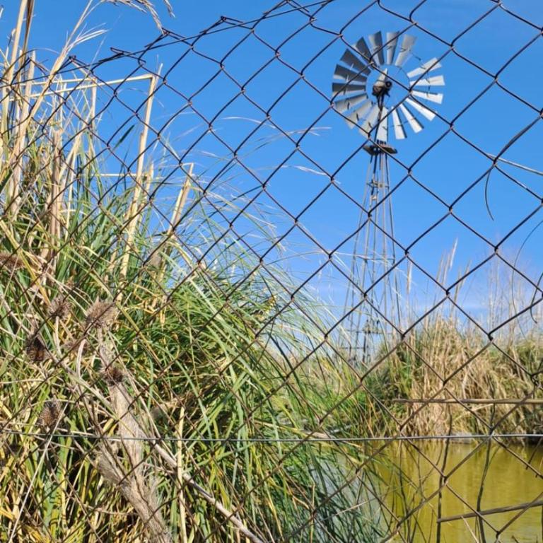 Basilio Restaurant & Resort - Habitación Doble - 2 camas - 3