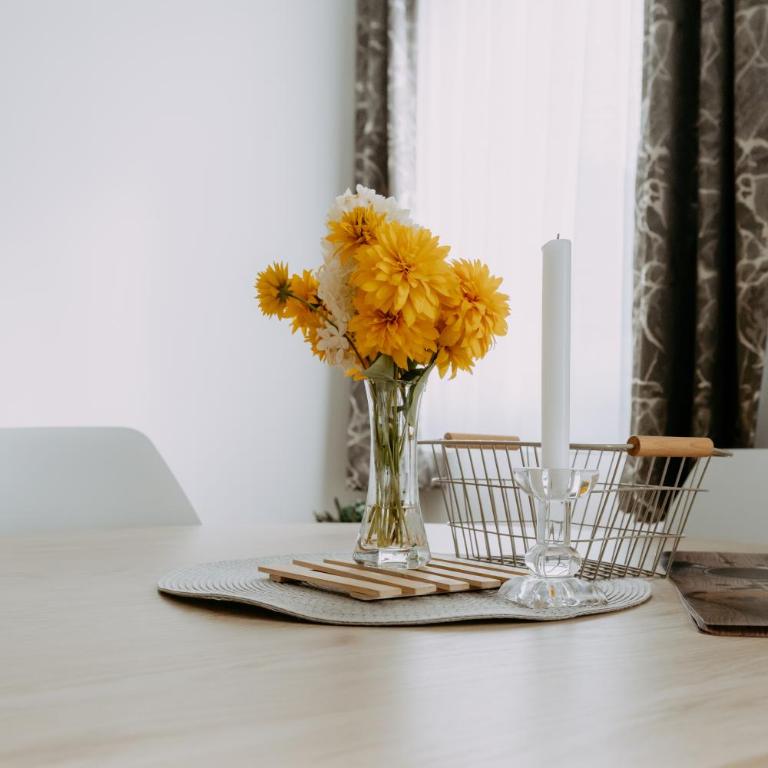 Kupferdachl - One-Bedroom Apartment - 11