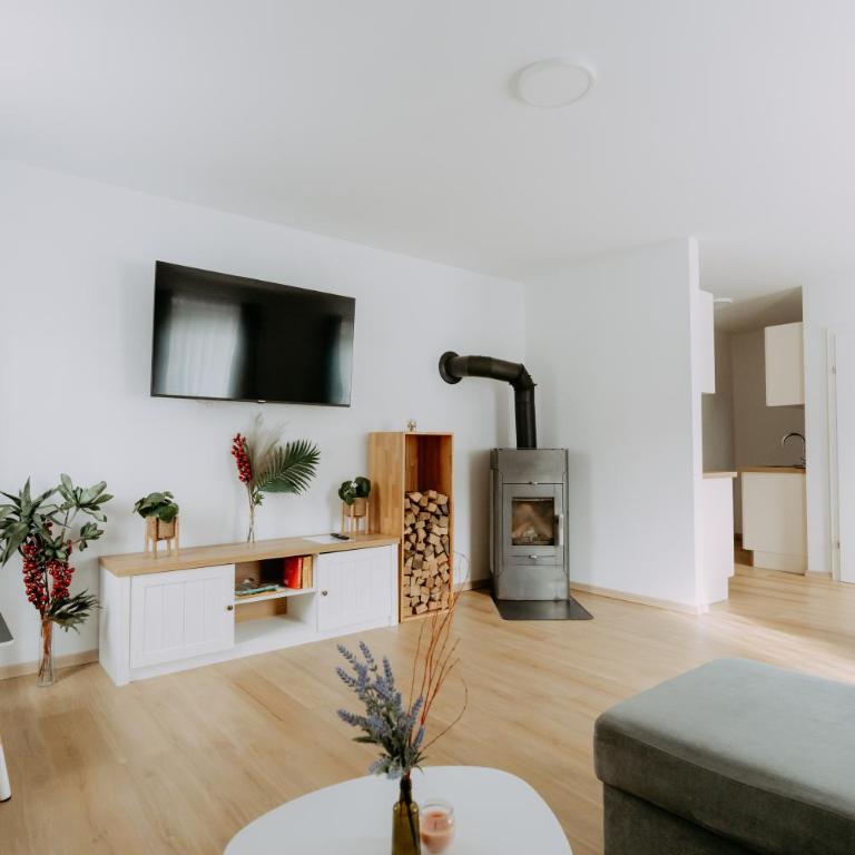 Kupferdachl - One-Bedroom Apartment - 1