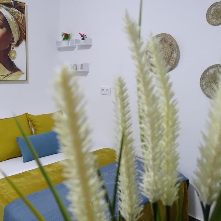 Apartamento Asis - Apartamento de 1 dormitorio - 4