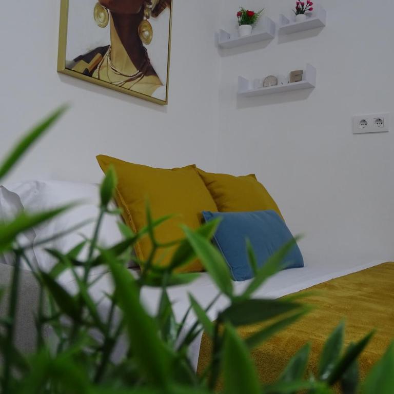 Apartamento Asis - Apartamento de 1 dormitorio - 14