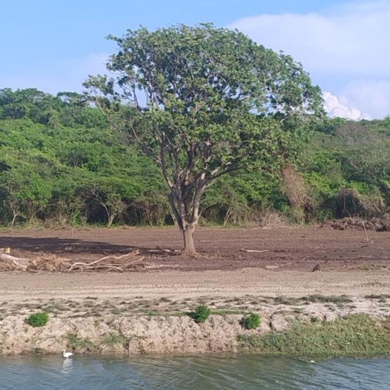 Amazing apartment cerca the beach Manzanillo Sector - Three-Bedroom Apartment - 31