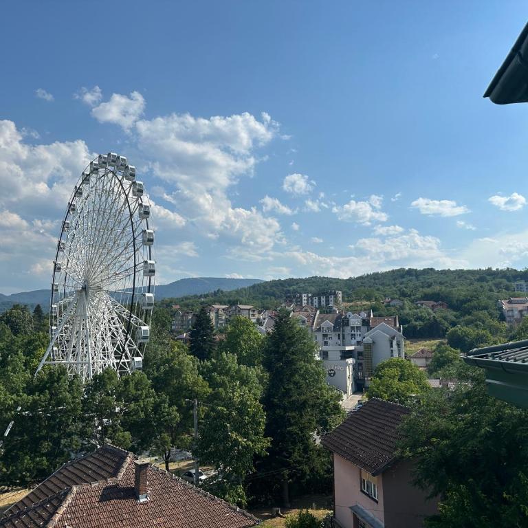 Luxury Stay in Vrnjačka Banja C2 - Apartman sa 1 Spavaćom Sobom - 8