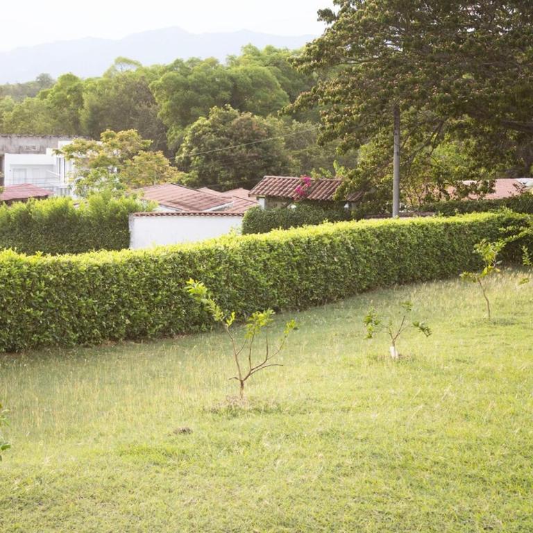Villa María Lilia Casa con piscina y jacuzzi privado - Villa - 5