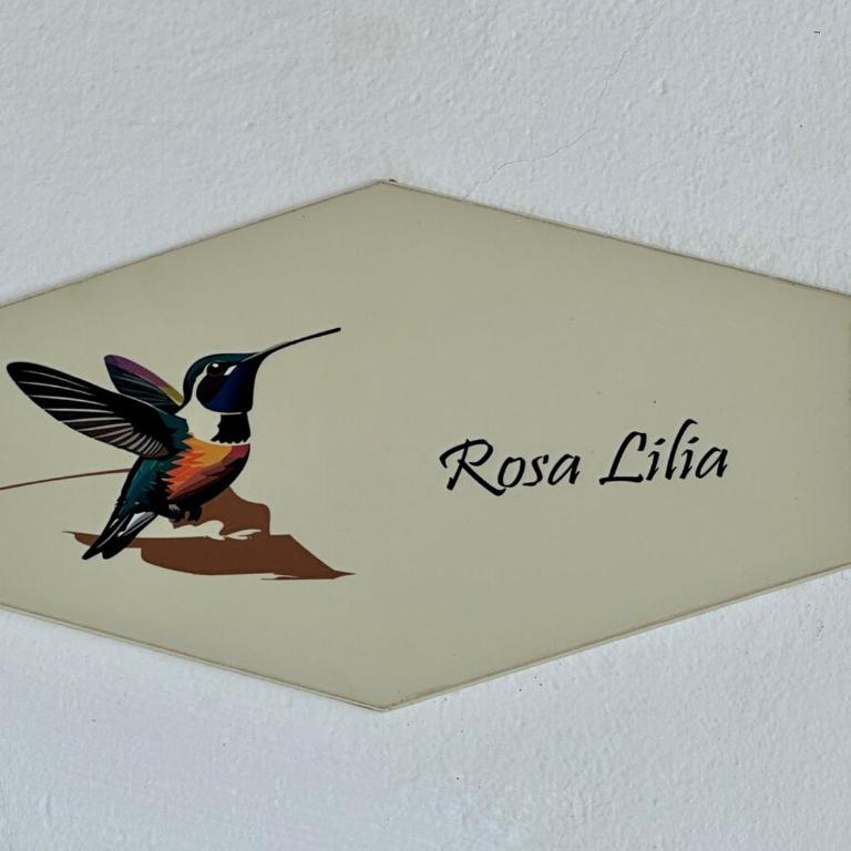 Villa María Lilia Casa con piscina y jacuzzi privado - Villa - 28