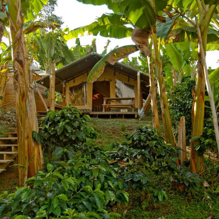 Glamping Jardín - Family Glamping - 20