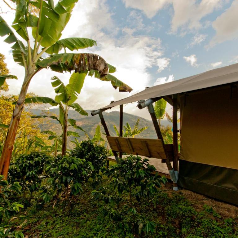 Glamping Jardín - Double Glamping - 24