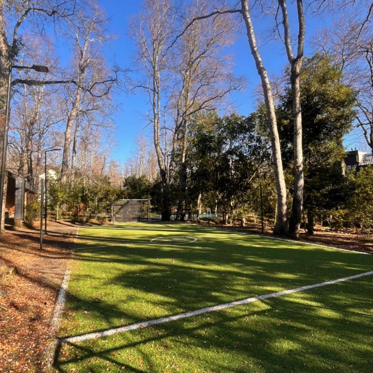 Arriendo Lacustre Pucon - Apartamento de 2 dormitorios - 5