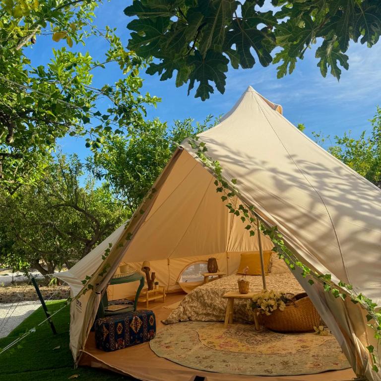Glamping de Huerta La Arboleja - Tienda - 4