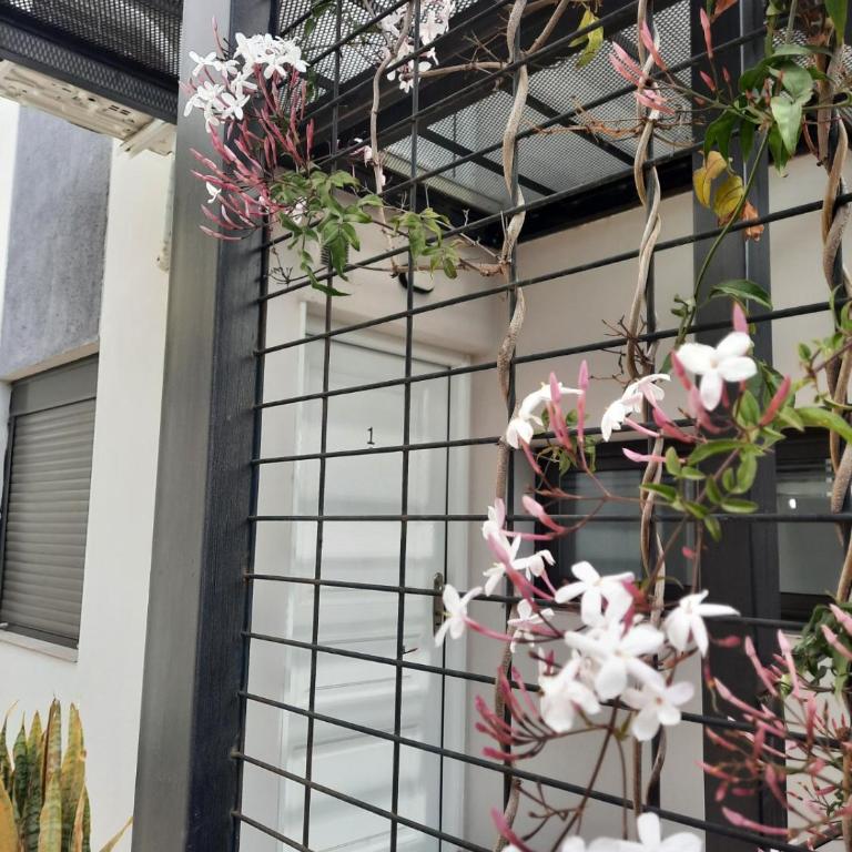 COMPLEJO CRUZ - Apartamento de 1 dormitorio - 12