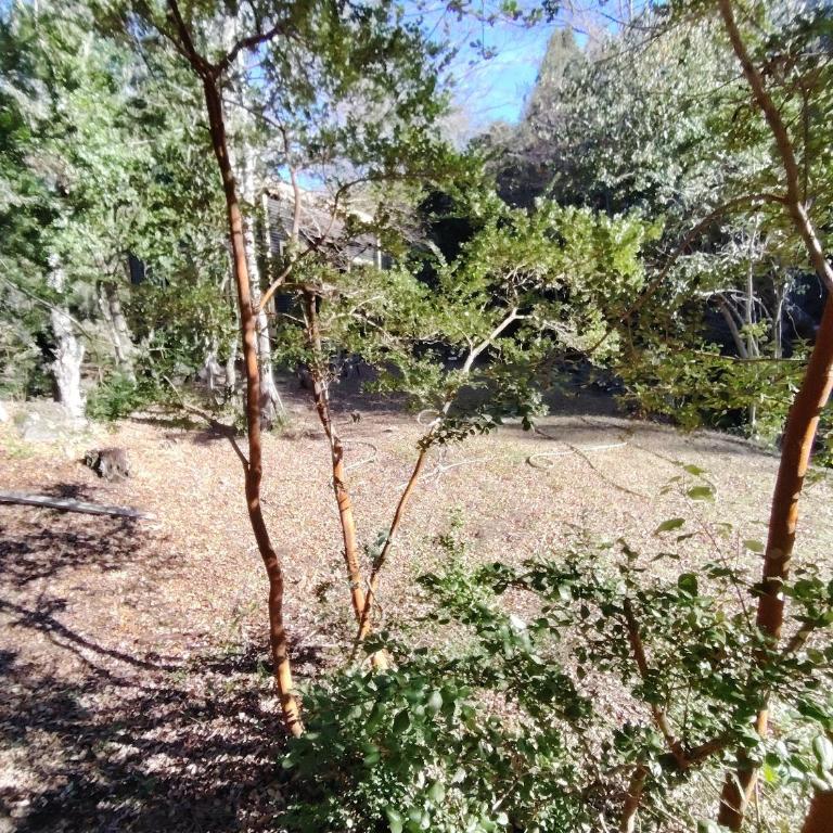 Cabañas Del Monte 1 - One-Bedroom Apartment - 12