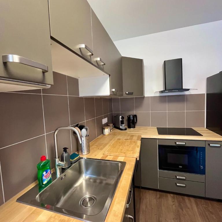 T2 Central Le Viennois - Gare de Vienne - 25 min de Lyon - Appartement 1 Chambre - 21
