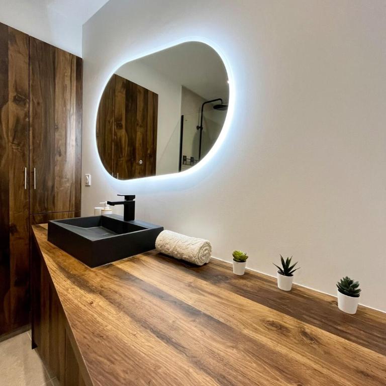 T2 Central Le Viennois - Gare de Vienne - 25 min de Lyon - Appartement 1 Chambre - 24