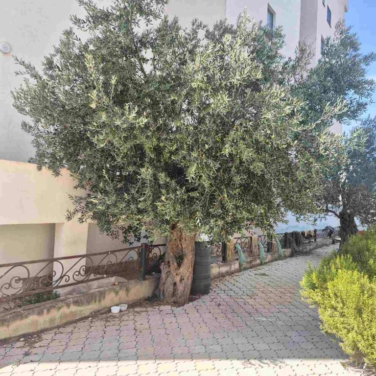 Apartment Suka - Apartman sa 1 Spavaćom Sobom - 13