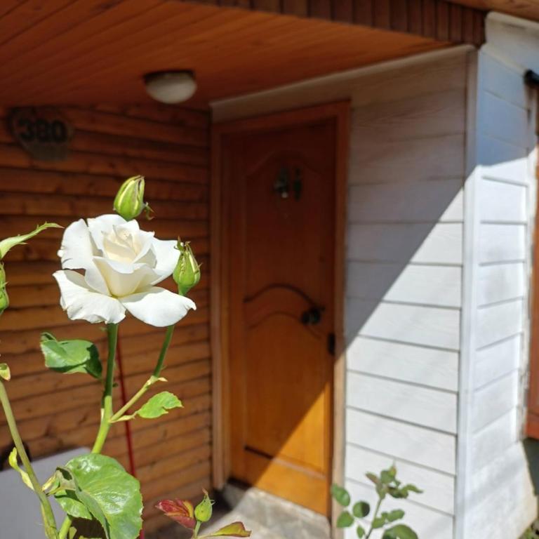 Del Monte - Casa de 2 dormitorios - 1