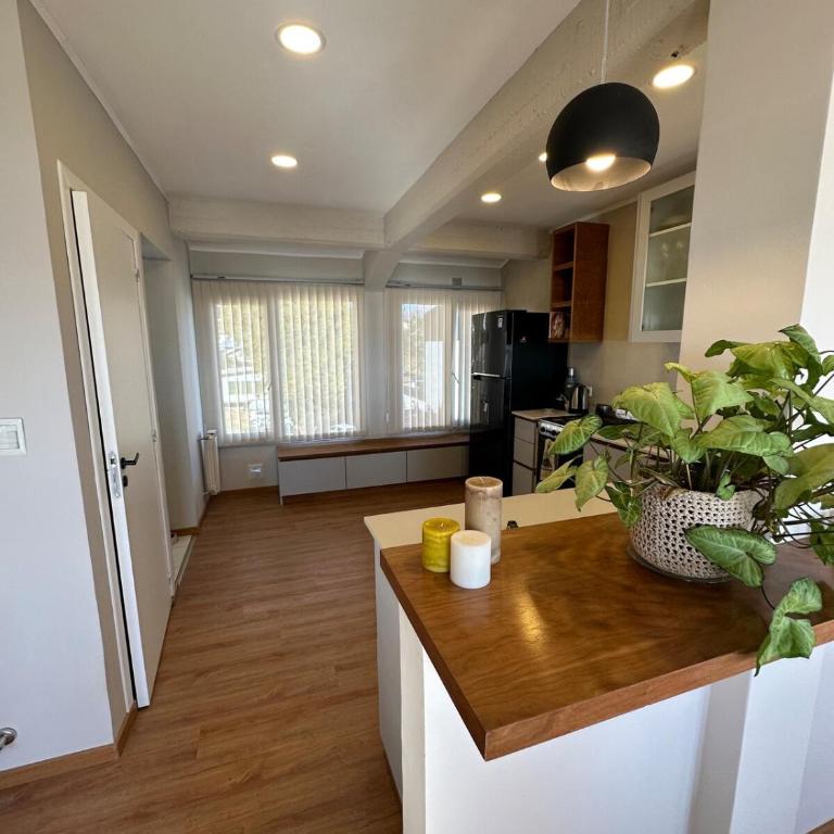 Departamento céntrico, vista al lago - Apartamento de 2 dormitorios - 10