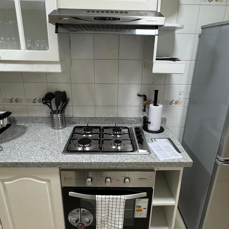 Spacious and cozy 2 room apartment in Providencia - Two-Bedroom Apartment - 5