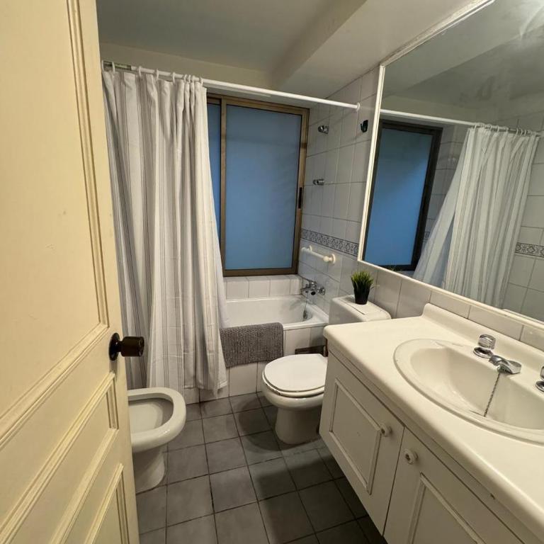 Spacious and cozy 2 room apartment in Providencia - Two-Bedroom Apartment - 9