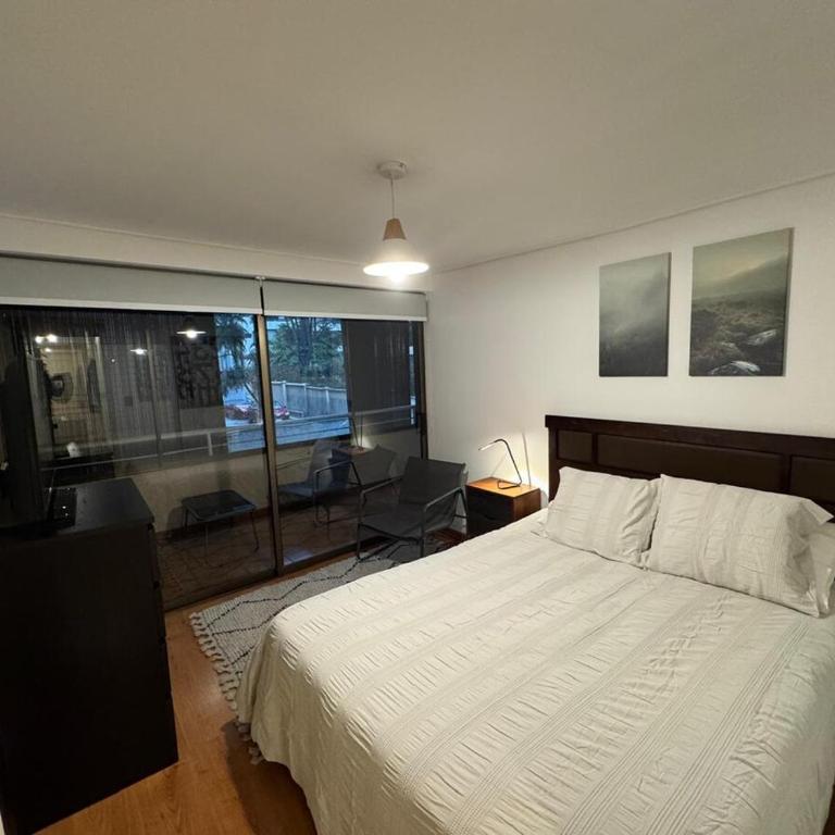 Spacious and cozy 2 room apartment in Providencia - Two-Bedroom Apartment - 12
